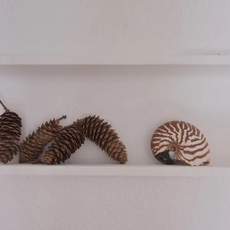 L'annexe Du Bivouac *